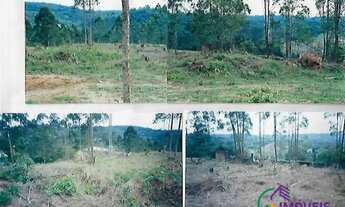 Imagem 7: AREA - INVERNADA - SP