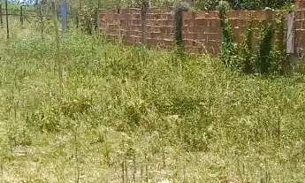 Imagem 6: OPORTUNIDADE IMPERDÍVEL - DOIS TERRENOS PELO PREÇO DE UM!