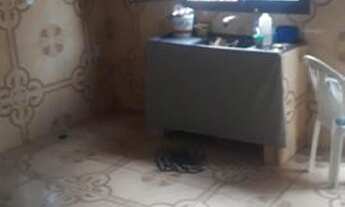 Imagem 2: Aluga-Se Casa no Apollo II