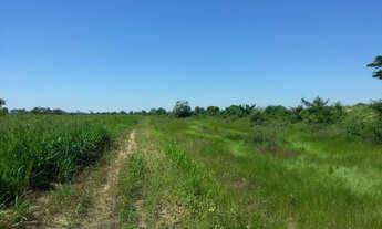 Imagem 3: Fazenda em Corumbá - MS. 20.070 hectares