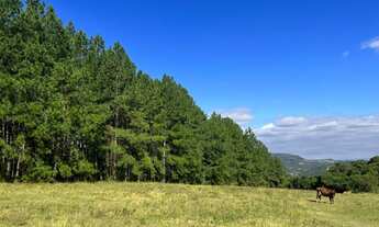 Imagem 1: Sítio em promoção, parada 79