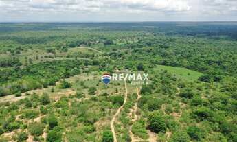 Imagem 6: Oportunidade para aquisição de chácara no Caju Manso