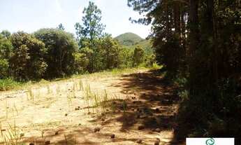 Imagem 6: EXCELENTE PROPRIEDADE EM TERESÓPOLIS