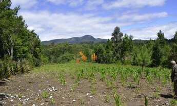 Imagem 7: Chácara com 2 dormitórios à venda, 9075 m² por R$ 870.000,00 - Florestal - Quatro Barras/P