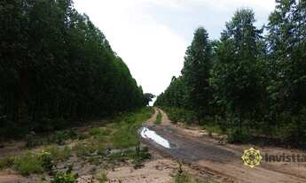 Imagem 2: Fazenda à venda, 1050 Ha - Zona Rural - Rio Sono/TO