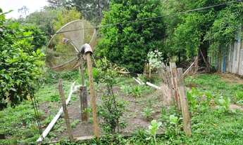 Imagem 5: BALSA NOVA - Casa Padrão - Bugre