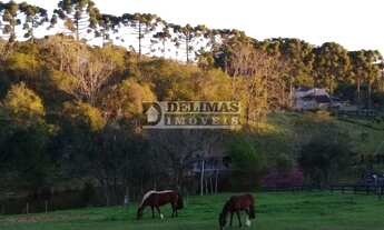 Imagem 5: Terreno Urbano para venda em Curitiba - PR