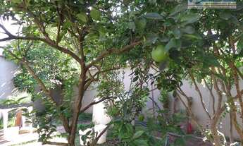 Imagem 3: Chácara residencial para locação, João Aranha, Paulínia