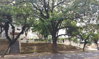 Imagem: Apartamento de 3 dormitórios com vaga