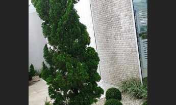 Imagem 6: Casa à venda, 450 m² por R$ 3.500.000,00 - Camboinhas - Niterói/RJ