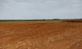 Imagem 2: Fazenda plantando em Paraíso do Tocantins/TO
