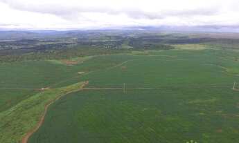 Imagem: Fazenda de 570 Hectares plantando em Porto