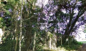 Imagem 7: TERRENO EM CAMPOS DO JORDÃO !!!