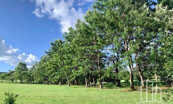 Imagem 5: Terreno à venda, 1313 m² por R$ 495.000,00 - Ingleses do Rio Vermelho - Florianópolis/SC