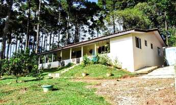 Imagem 7: Chácara com 5 dormitórios à venda, 5179 m² por R$ 2.500.000,00 - Vila David Antônio - Camp