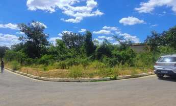 Imagem 3: Lote 1000 Metros