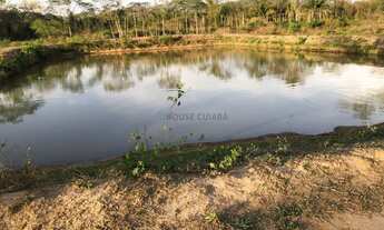 Imagem 5: Faz. 175 hc Rosario Oeste