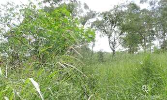 Imagem 2: Terreno à venda, 2160 m² por R$ 650.000,00 - Granja Viana - Embu das Artes/SP