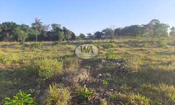 Imagem 3: Fazenda a venda no Tocantins em Dois do Tocantins