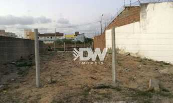 Imagem 2: Terreno para alugar, 288 m² por R$ 800,00/mês - Nova Esperança - Parnamirim/RN