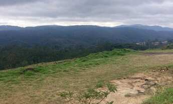 Imagem 5: Entradas mínima