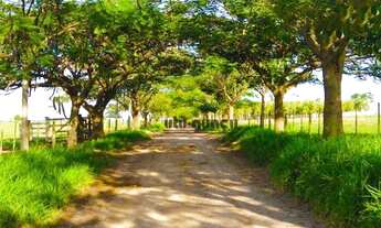 Imagem: Fazenda à venda, 7018000 m² - Chácaras