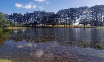 Imagem 7: Lotes vários tamanhos e localizações