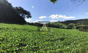 Imagem 4: SÍTIO DE 20 ALQUEIRES