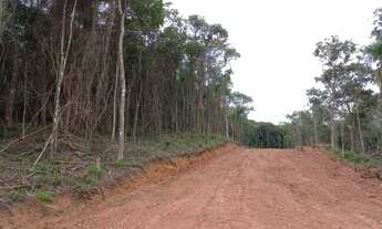 Imagem 3: 1.000m2 na Região de Ibiuna próximo a Piedade 1567NVD