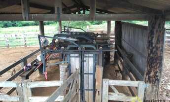 Imagem 2: Fazenda para pecuária à venda, 870 Hectares em Miracema do Tocantins/TO