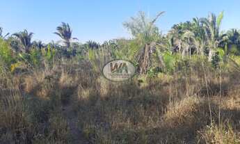 Imagem 4: Fazenda a venda no Tocantins em Dois do Tocantins