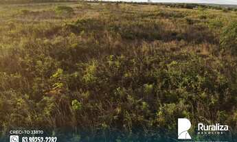 Imagem 4: Fazenda de dupla aptidão com aproveitamento de 70% no vale do Araguaia - TO