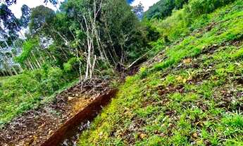 Imagem 3: Belíssimo sítio de 5.3 hectares em Urussanga