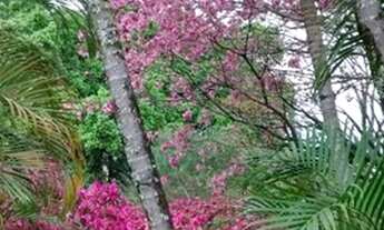 Imagem 7: Casa residencial à venda, Paragem dos Verdes Campos, Gravataí - CA0602