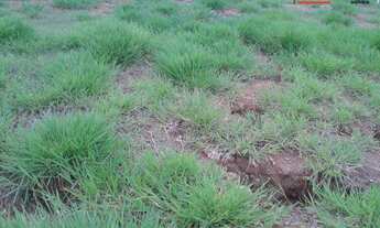 Imagem 3: Terreno à venda, 125 m² por R$ 135.000,00 - Cotia - Cotia/SP