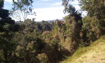 Imagem 7: Terreno no Morro do Elefante 5800m