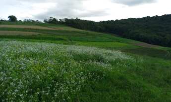 Imagem 5: Ótimo lote na cidade de cotia venha conferir