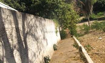 Imagem 3: Terreno No Bairro Quilombo