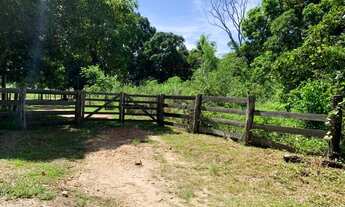 Imagem 6: Fazenda/Sítio/Chácara para venda possui 500000 metros quadrados com 4 quartos