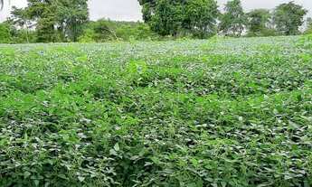 Imagem 5: Sítio 12 Hectares Capão Seco Paranoá !!! 1.000.000 !!!