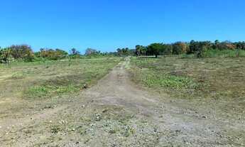 Imagem 7: Fazenda 2.700 Hectares Corumbá MS