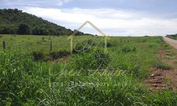 Imagem 6: Vendo ampla fazenda no município de Planalto Da Serra
