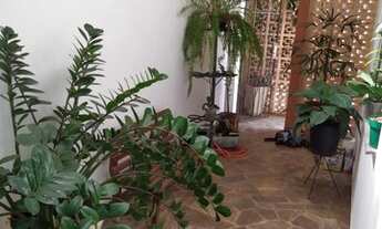 Imagem 5: Residencial - Jardim Macarengo