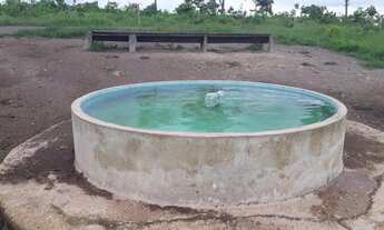 Imagem 4: Fazenda 226 Alqueires em Rio sono Tocantins