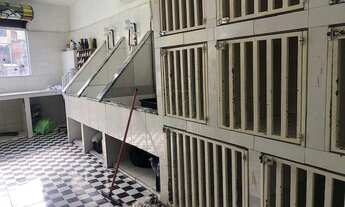 Imagem 4: Salão à venda - Jardim Elba - São Paulo/SP