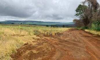 Imagem 3: Excelente oportunidade! Sítio com área de 115 alqueires em São Simão/SP. Aproveite!