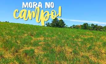 Imagem 7: CHÁCARA 2 HECTARES COM ESCRITURA EM MORUNGAVA