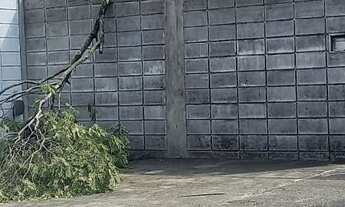 Imagem 7: Aluga-Se Galpão