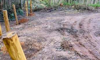 Imagem 4: Aqui está seu terreno do sonho,venha escolher