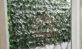 Imagem 6: Casa / 2 Dormitórios / 1 Suíte / 2 Vagas / Jardim Algarve / Alvorada